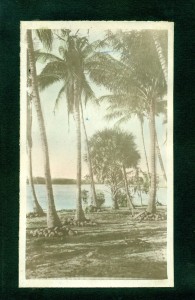 Looking west from Manalapan to Hypoluxo Island. Circa 1912-1917.