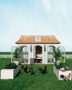 Neiman Marcus 2012 Fantasy Christmas Catalog Mini-Hen Farm