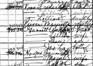 Excerpt from 1900 US Census Sheet