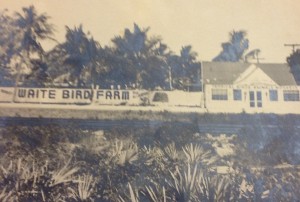 Waite's Bird Farm