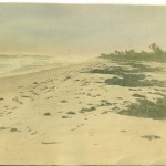 Image of our beach, circa 1912-1917, discovered in a discarded photo album full of coastal Palm Beach County photographs.