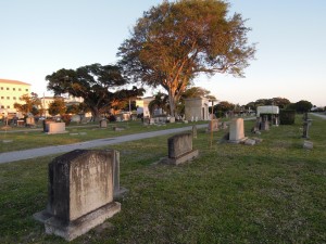 Woodlawn Cemetery at dusk.